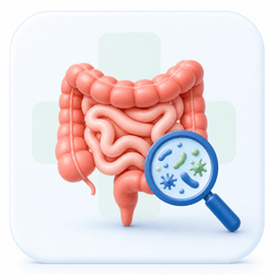 Intestines