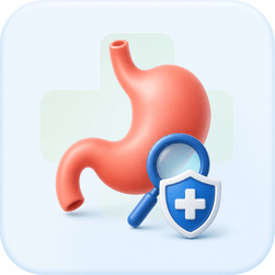 Stomach